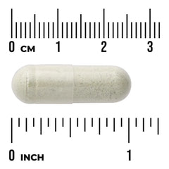 Brown Seaweed Sodium Alginate with Cilantro Leaf
