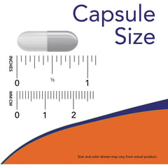 CurcuBrain