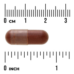 MegaNatural-BP Grape Seed Extract