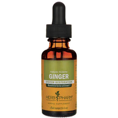 Ginger - System Restoration
