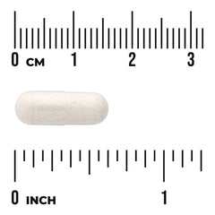 UC-II Standardized Collagen