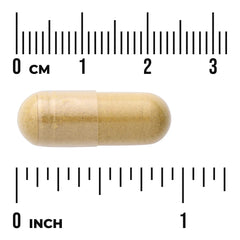 Full Spectrum Ginger & Turmeric - 2-in-1 Formula