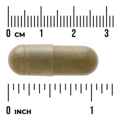 Full Spectrum Moringa Oleifera