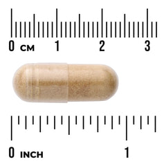 Nootropic Brain Food - Featuring Neumentix