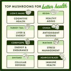 BioDefense NK+ - Mushroom Blend